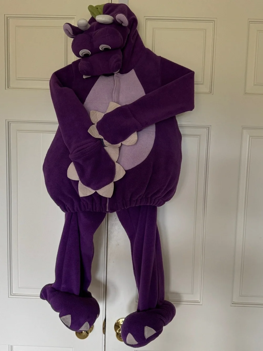 Kids Costume (5T) Flying Dragon 2 piece Purple Jacket and Pants Old Navy